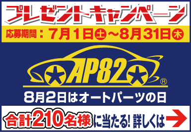 2017 AP82 Campaignbanner